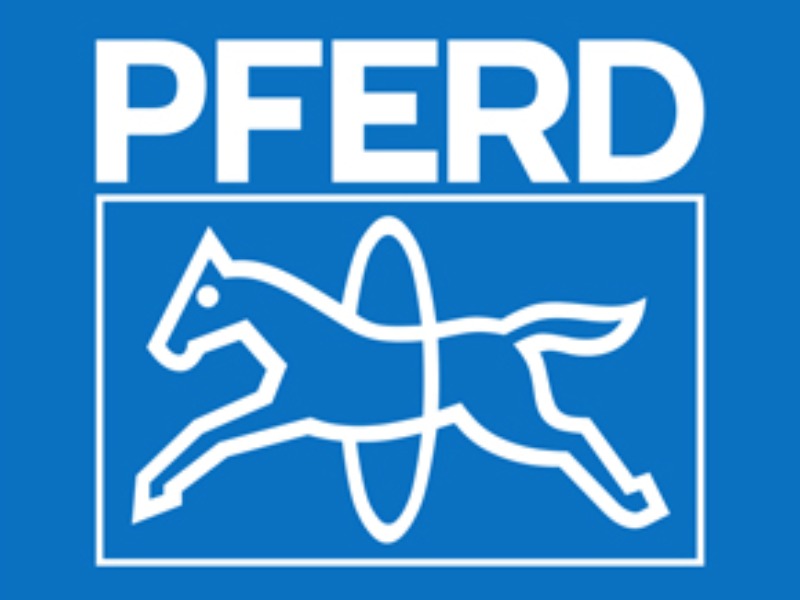 Pferd